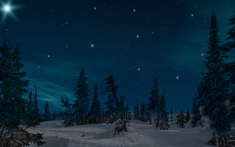 Untitled design - 2024-11-26T154748.906