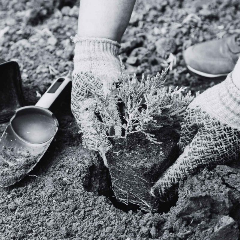 flat rate office printing services for businesses